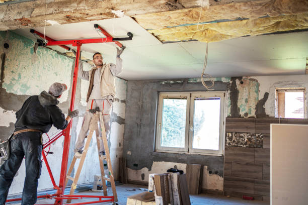 Best Insulation Maintenance and Repair in Linn, MO